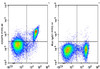 FITC Anti-Mouse CD272 Antibody [PK18.6] (AGEL3185)