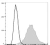 APC Anti-Mouse CD107a Antibody [1D4B] (AGEL3288)