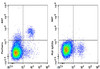 GenieFluor 647 Anti-Mouse Perforin Antibody [S16009A] (AGEL3309)