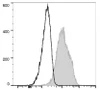 PE Anti-Human CD105 Antibody [SN6] (AGEL3317)