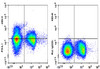 GenieFluor 488 Anti-Mouse CD274/PD-L1 Antibody [10F.9G2] (AGEL3322)