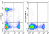 PE Anti-Mouse CD4 Antibody [RM4-5] (AGEL3494)