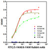 Immobilized biotin-6 Fam, biotin-5 Fam, biotin-FITC, at 1 μg/mL (25 μL/well), of which EC50 ranges are 0. 18-0. 40 ng/mL, 0. 19-0. 29 ng/mL and 0. 15-0. 29 ng/mL , can bind anti 6-Fam/ 5-Fam/ FITC mAb (CAB22444), respectively.