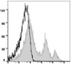 PerCP/Cyanine5.5 Anti-Mouse CD24 Antibody [M1/69] (AGEL1906)