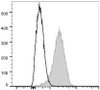 FITC Anti-Mouse CD31 Antibody [390] (AGEL1918)