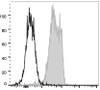 PE Anti-Mouse CD31 Antibody [390] (AGEL1919)