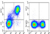GenieFluor 647 Anti-Mouse CD5 Antibody [53-7.3] (AGEL1959)