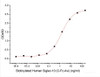 Recombinant Human Siglec-10 (C-Fc-Avi) Biotinylated