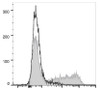 APC Anti-Mouse IL-6 Antibody [MP5-20F3] (AGEL2074)