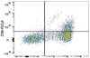 PE/Cyanine5 Anti-Mouse CD64 Antibody [X54-5/7.1] (AGEL2312)
