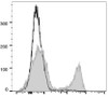PE Anti-Rat CD3 Antibody [G4.18] (AGEL2459)