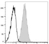 APC Anti-Mouse CD105 Antibody [MJ7/18] (AGEL2474)