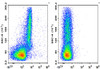 APC Anti-Mouse CD51 Antibody [RMV-7] (AGEL2726)