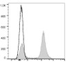 GenieFluor Red 780 Anti-Mouse CD45R/B220 Antibody [RA3.3A 1/6.1] (AGEL2982)