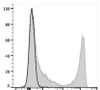 APC Anti-Mouse CD90 Antibody [M5/49.4.1] (AGEL3034)