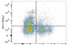 PE/Cyanine7 Anti-Mouse CD117 Antibody [2B8] (AGEL3052)