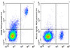 PE/Cyanine5.5 Anti-Human CD20 Antibody [2H7] (AGEL2397)