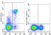 APC Anti-Human CD16 Antibody [3G8] (AGEL2479)