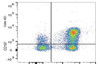 GenieFluor Violet 450 Anti-Human CD197/CCR7 Antibody [G043H7] (AGEL3042)