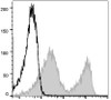GenieFluor 488 Anti-Mouse CD90.2 Antibody [30H12] (AGEL3142)