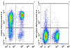 PE/Cyanine5.5 Anti-Mouse CD62L Antibody [Mel14] (AGEL0640)