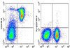 PE Anti-Mouse CD24 Antibody [M1/69] (AGEL1892)
