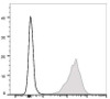 PE Anti-Mouse CD69 Antibody [H1.2F3] (AGEL1979)