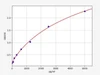 Human NOTCH1 ELISA Kit (HUFI00699)