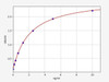 Rat Aminopeptidase N/CD13 ELISA Kit (RTFI00536)