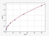 Rat Bone Morphogenetic Protein Receptor 1A/BMPR-1A ELISA Kit (RTFI00604)