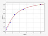 Rabbit Apolipoprotein CI/APOC1 ELISA Kit (RBFI00012)
