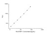 Rat IGFBP-1 (Insulin-Like Growth Factor Binding Protein 1) CLIA Kit (RTES00316)