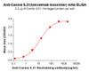 Anti-Canine IL31 (Lokivetmab biosimilar) mAb (HDBS0445)