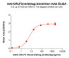 Anti-CRLF2 (Verekitug biosimilar) mAb (HDBS0770)