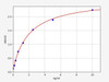 Rat Col2a1 ColorStep ELISA Kit (AEFI02940)