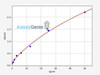 Human SNAP25 ColorStep ELISA Kit (AEFI03135)