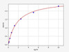 Human METTL9 ELISA Kit (AEFI03354)