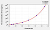 Goat IL8 (Interleukin 8) ELISA Kit (AEKE00157)