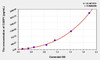 Pig CASP1 (Caspase 1) ELISA Kit (AEKE00164)