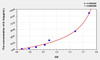 Pig IL1b (Interleukin 1 Beta) ELISA Kit (AEKE00262)