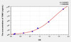 Mouse TGM1 (Transglutaminase 1, Keratinocyte) ELISA Kit (AEKE00850)