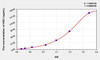 Human HDC (Histidine Decarboxylase) ELISA Kit (AEKE00916)