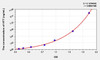 Rat HTT (Huntingtin) ELISA Kit (AEKE01762)