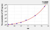 Rat TJP1 (Tight Junction Protein 1) ELISA Kit (AEKE02215)