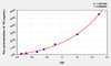 Dog FE (Ferritin) ELISA Kit (AEKE02780)