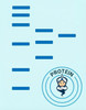 Recombinant Human SNAI3 protein (His tag) (RPES8871)