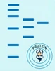 Recombinant Human NOTCH3 protein (His tag) (RPES8911)