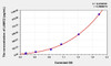 Mouse LAMC2 (Laminin Gamma 2) ELISA (Small Sample Volume) (AEKE03049)