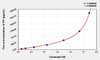 Rat PP (Pancreatic Polypeptide) ELISA Kit (AEKE03166)