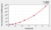 Bovine HSP90 (Heat Shock Protein 90) ELISA Kit (AEKE03252)
